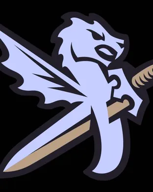 Charlotte Knights Norfolk