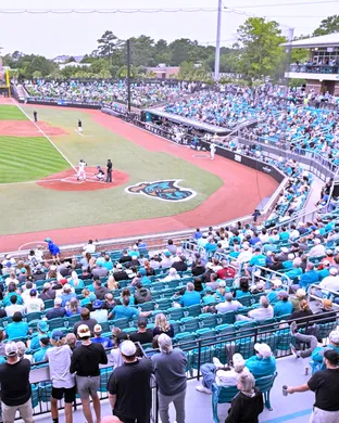 Coastal Carolina Chanticleers Baseball Conway