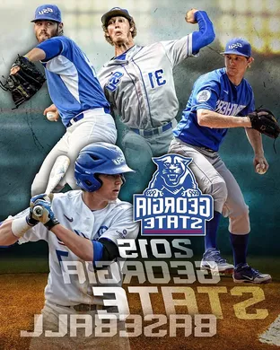 Georgia State Panthers Baseball Decatur