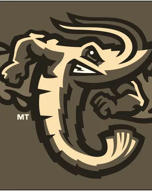 Jacksonville Jumbo Shrimp Norfolk
