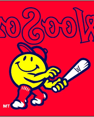 Worcester Red Sox Norfolk