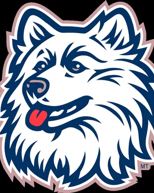 Uconn Huskies Football Norfolk